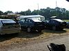 P1000042.JPG