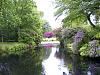 PIC_0078.jpg