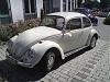 DSC01513.jpg