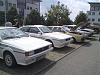 DSC01548.jpg