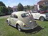 DSC01517.jpg