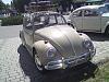 DSC01514.jpg
