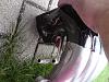 DSC01099.jpg