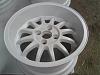 DSC01579.jpg