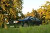 DSC05416.jpg