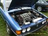Back to the Roots 2010 067.jpg