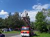 SDC12428.jpg