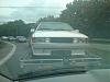 DSC00595.jpg