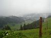 DSC01699.jpg