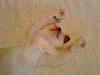 DSC00057.jpg