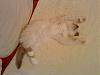 DSC00058.jpg