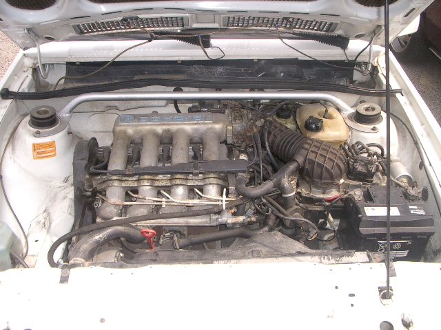 IMGP2212.JPG