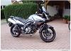 dl650.jpg
