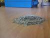DSC00507.jpg