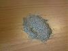 DSC00508.jpg