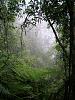 DSCN3691.jpg