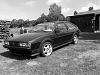DSC01684.jpg