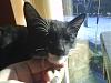DSC00815.JPG