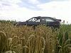 20110725_004.jpg