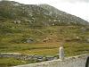 DSC03295.jpg