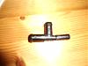DSC00563.jpg