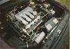 BilderVW-Treffen4 064.jpg