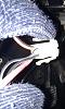 IMAG0155.jpg