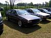 back to the roots 2013 010.jpg