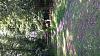 20140704_114123.jpg