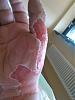 IMG_20150417_143849.jpg