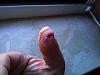 DSC01907.jpg