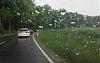 20160514_163133.jpg