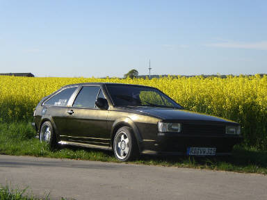 IMAG0505.jpg