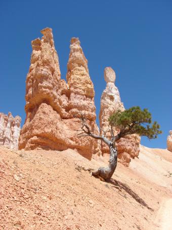 BryceCanyon.JPG